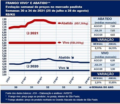 Frango vivo e abatido