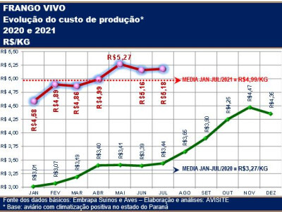 Custo de produção do frango permanece no segundo maior patamar de todos os tempos