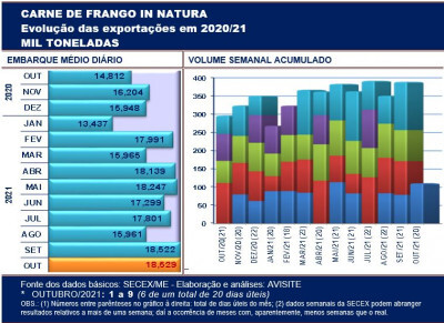 Pela média diária, exportação de carne de frango repete o bom desempenho de setembro