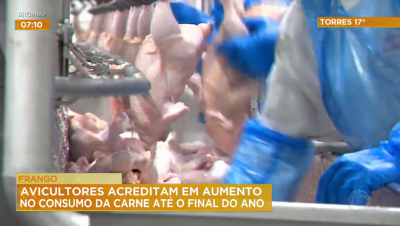 Avicultores acreditam em aumento no consumo da carne até o final do ano