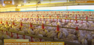 Economia: exportação de carne de frango cresce 13,5% em outubro