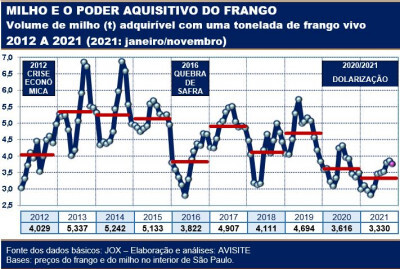 Queda de preço do milho não aumenta poder aquisitivo do frango vivo