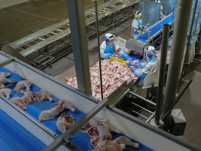 Exportações de carne de frango mantém alta de 9% em 2021