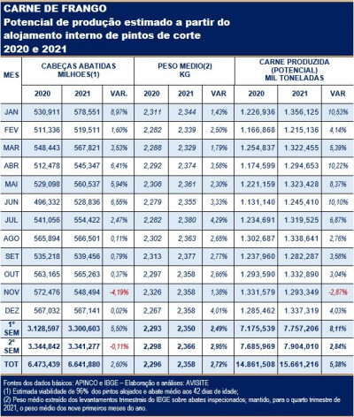 Pintos alojados sinalizam aumento de mais de 5% na produção de carne de frango de 2021