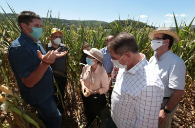 Ministra visita produtores rurais afetados pela estiagem no RS e em SC para definir medidas de socorro