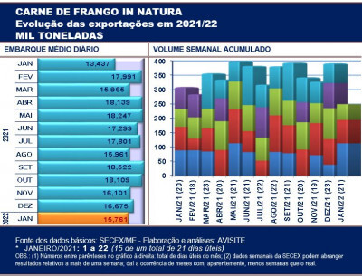 Embarques de carne de frango das três primeiras semanas de janeiro sinalizam aumento de mais de 20% no total do mês