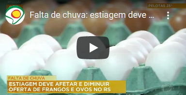 Falta de chuva: estiagem deve afetar e diminuir oferta de frangos e ovos no RS