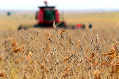 Agronegócio gaúcho exportou US$ 15,3 bilhões em 2021