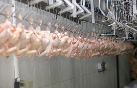 Campanha valoriza carne de frango produzida no Rio Grande do Sul