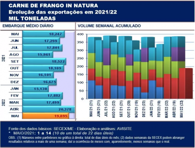 Carne de frango: novamente, exportação inicial do mês sinaliza total mensal superior a 400 mil/t