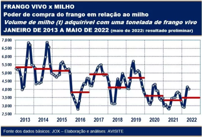 Em relação ao milho, poder de compra do frango vivo permanece no 2º pior nível em uma década