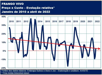 Frango vivo: margem entre custo e preço fica negativa em 2022