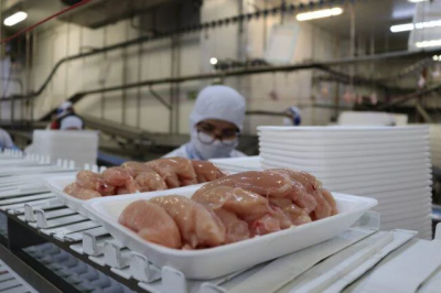 Frango brasileiro: África do Sul suspende tarifa antidumping