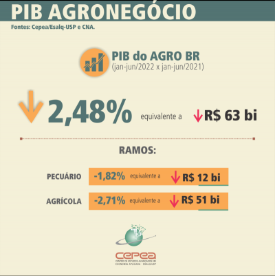 PIB-Agro/CEPEA: Ainda pressionado por custo alto, PIB do agro recua 1,7% no 2º tri; no ano, queda é de 2,5%