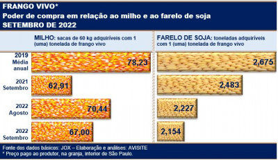 Poder de compra do frango sofre retração em setembro; em relação ao milho e ao farelo de soja