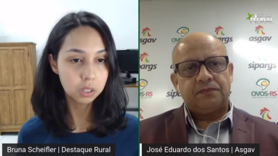 Avicultura gaúcha: exportações, consumo e desafios da produção - Live Destaque Rural