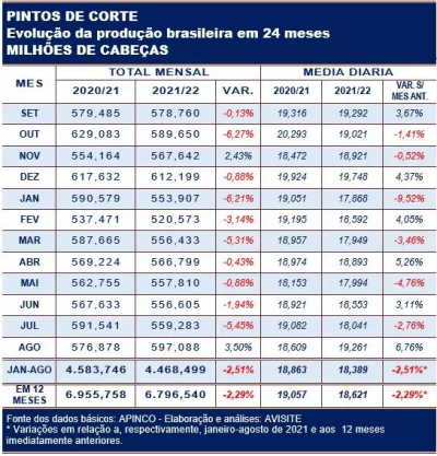 Recorde do ano em agosto, produção de pintos de corte acumulada no ano permanece com volume negativo