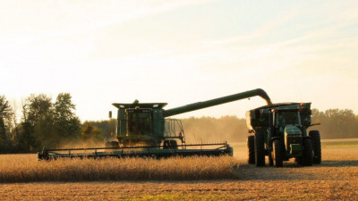 DATAGRO prevê produção de soja em 152,58 mi tons