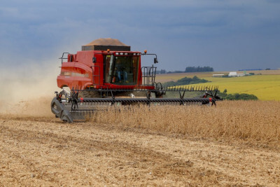 Produção de grãos deve crescer 36,8% nos próximos dez anos