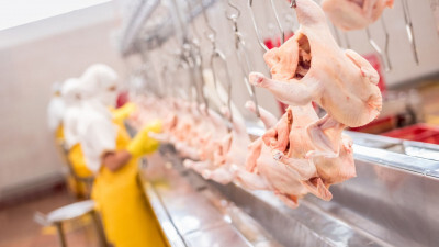 Carne de frango: volume exportado em 11 meses corresponde a 96% do total embarcado em 2021