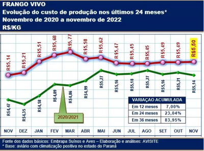 Custo de produção do frango: estável há seis meses, mas ainda muito elevado