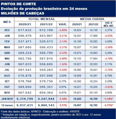 Pintos de corte: produção de novembro/22 volta a ultrapassar os 600 milhões de cabeças