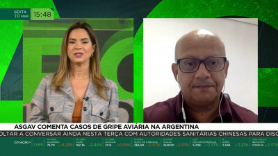 Asgav comenta casos de gripe aviária na Argentina - Agromais