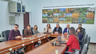 Agricultura apresenta balanço de ações de vigilância de influenza aviária no RS