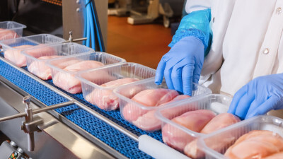 Exportações gaúchas de carne de frango em agosto registram alta de 3,4% 