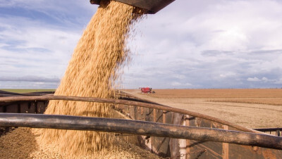 Agro teve retração de 6,6% no ano passado, informa IBGE