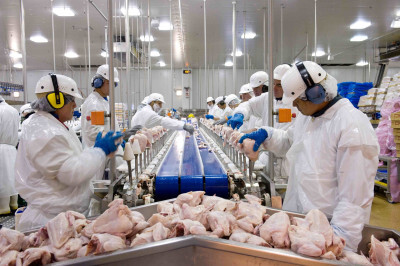 Frango alavanca crescimento de 23% em vendas ao Oriente Médio