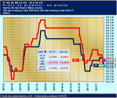 Mercado paralisado derruba novamente preço do frango vivo