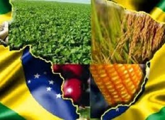 Superavit do agronegócio atinge US$ 8,12 bilhões