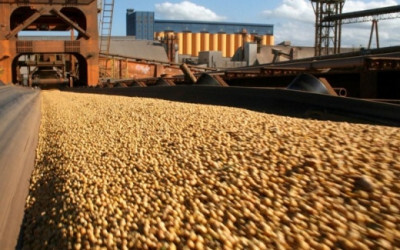 Plantio de soja do Brasil deve crescer mais de 2% em 2017/18, aponta pesquisa