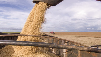 Nova previsão da Abiove mantém produção de soja do País em 108,5 milhões de toneladas em 2017/2018