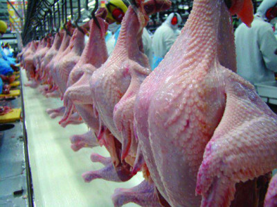 Produção mundial de frango pode atingir 91,28 milhões de toneladas em 2018