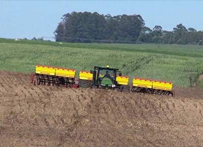 Plantio da soja chega a 30% da área no Brasil