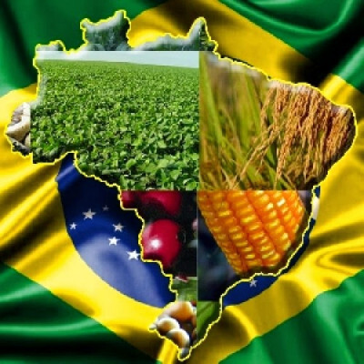 Leonardo Isolan: a força do agro Brasil