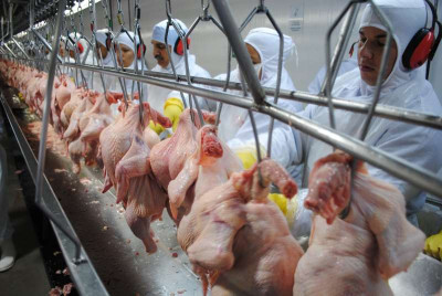 Receita com exportações de frango recuam quase 12% no trimestre 