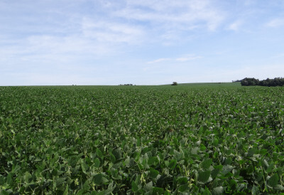 Saldo comercial do campo alcança US$ 7,79 bilhões